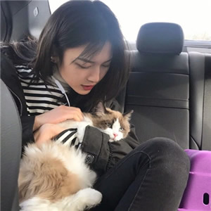 女生猫咪控专属QQ头像！11张高清有爱猫咪主题头像合集