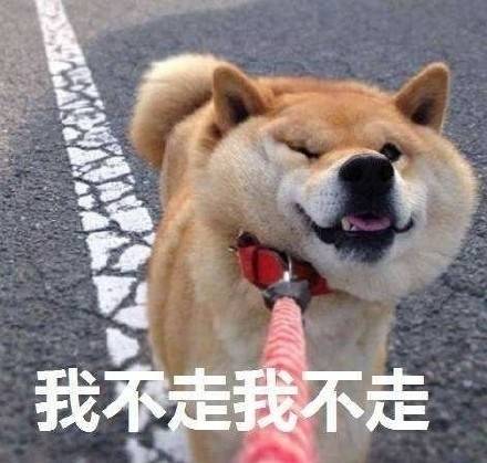 跟女朋友讲道理时她的真实反应 这套表情包太真实了
