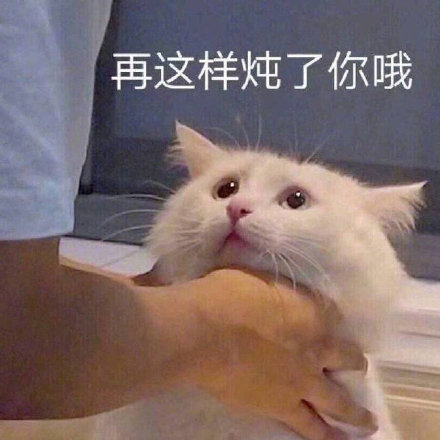 猫咪表情包合集来啦，斗图党快收好