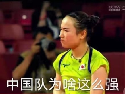 孙颖莎击败伊藤美诚相关表情包合集