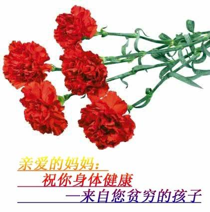 月底没钱不用愁！这套表情包帮你开口要生活费