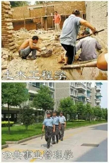 你的专业毕业能做什么？一组对比表情包帮你捋明白