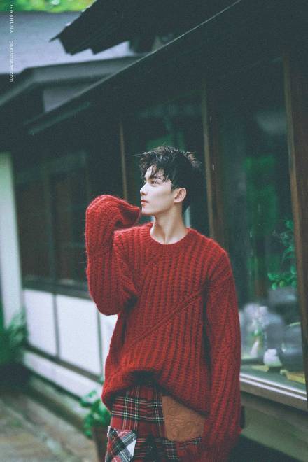 吴磊越长越帅！这波表情包太可了