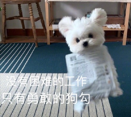 12月23日热门斗图表情包合集