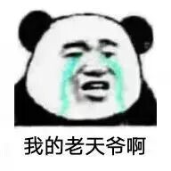 超实用熊猫头斗图表情包合集