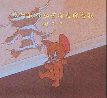 猫和老鼠主题朋友圈背景图合集