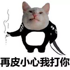 猫脸熊猫人聊天表情包合集