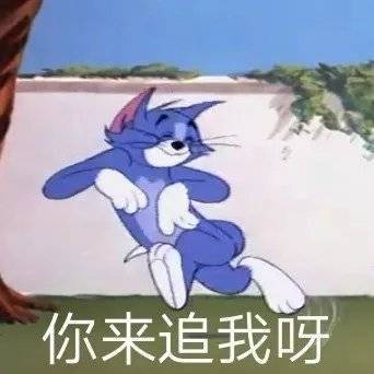 聊天斗图缺素材？这份实用表情包合集快收好