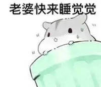 给妻奴的专属表情包，赶紧来存图