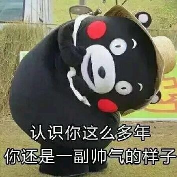 父亲节专属熊本熊表情包来啦！