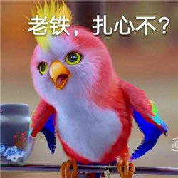 《楚乔传》苍梧鸟表情包来啦 小鹦鹉萌翻斗图圈