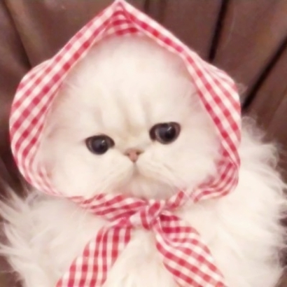 36张可爱女生闺蜜头像合集 高清好看直接用