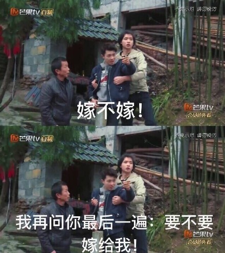 《变形记陈新颖表情包合集 斗图必备》