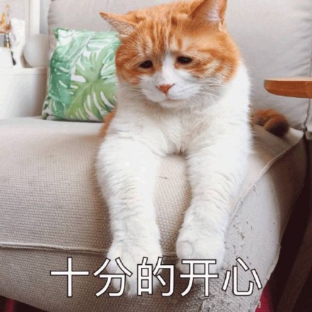 emo感拉满！这套丧系猫咪表情包太戳人了