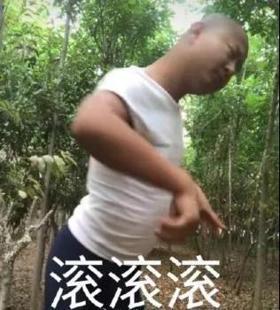 giao哥专属表情包合集来啦
