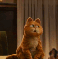 超好用的加菲猫表情包合集来啦