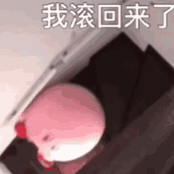 软萌星之卡比表情包来啦！