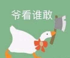 超好用的大白鹅表情包合集来啦