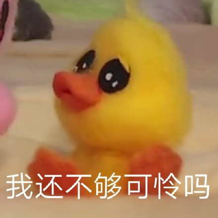 12月23日热门斗图表情包合集