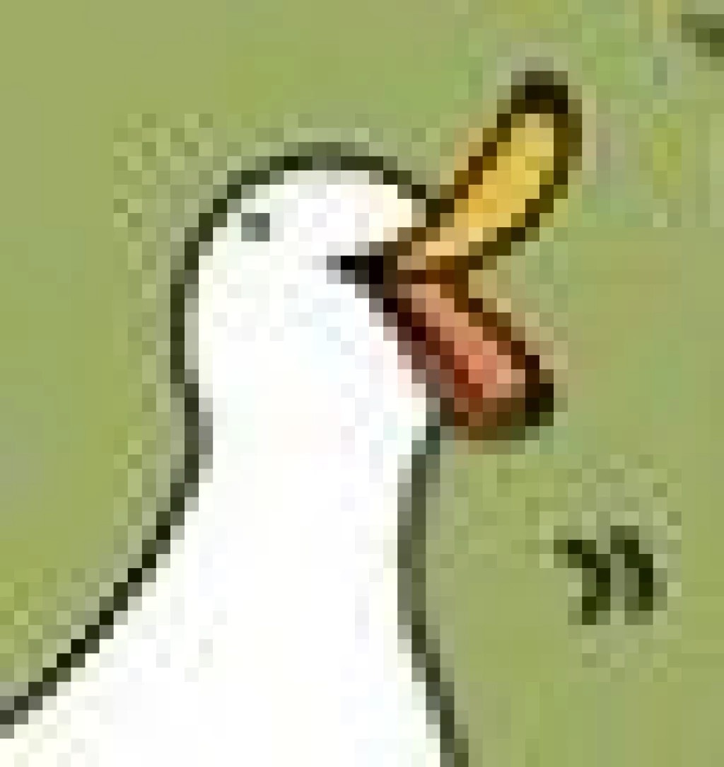 嘎嘎大笑的挨打鸭表情包火了