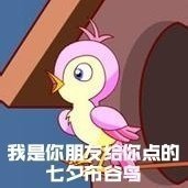 七夕布谷鸟表情包火了！一句“不孤不孤”刷屏聊天框