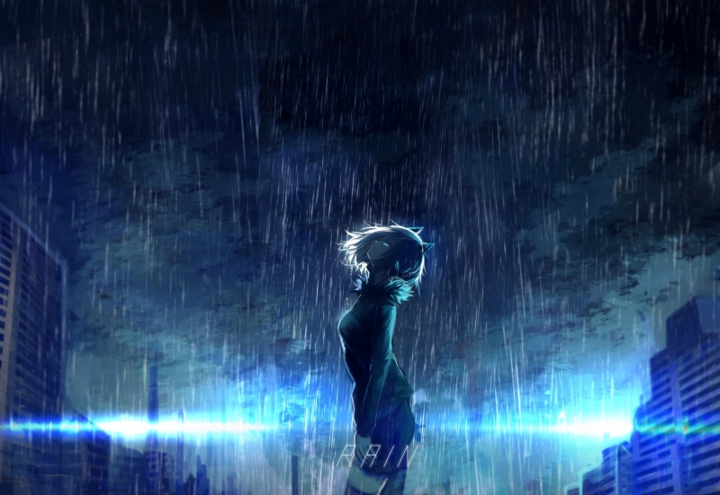 雨夜侧脸兽耳少女 氛围感拉满的动漫壁纸