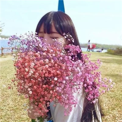 女生手捧满天星的高清唯美头像合集 12张氛围感拉满