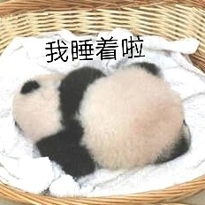 圆滚滚熊猫表情包来啦！聊天斗图直接用