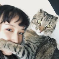 18张清新感抱猫女生头像 治愈又好看的女猫同框头像合集