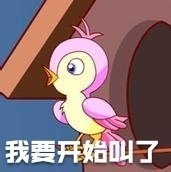 七夕布谷鸟表情包火了！一句“不孤不孤”刷屏聊天框