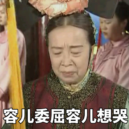还珠格格容嬷嬷容儿表情包合集来啦