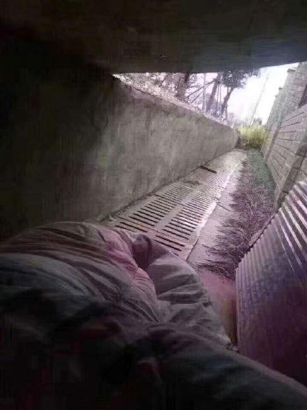 到的对比表情包合集来了