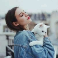 12张治愈感拉满！女生抱小猫的头像合集来了