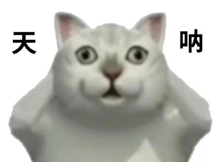 憨态拉满！Mur猫表情包合集来啦