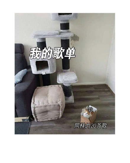 朋友圈有人分享音乐的瞬间，是不是瞬间戳中你了