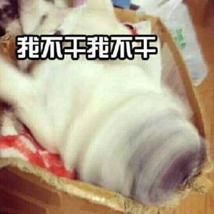跟女朋友讲道理时她的真实反应 这套表情包太真实了