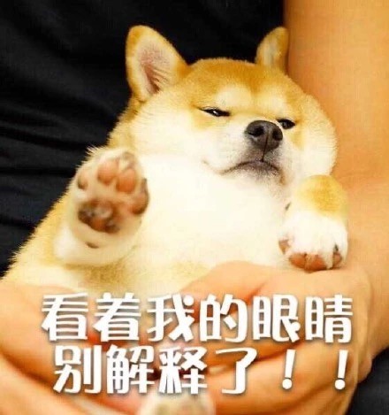 狗狗版拒绝表情包合集来啦