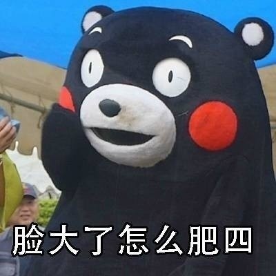 熊本熊版“怎么肥四”表情包合集来了