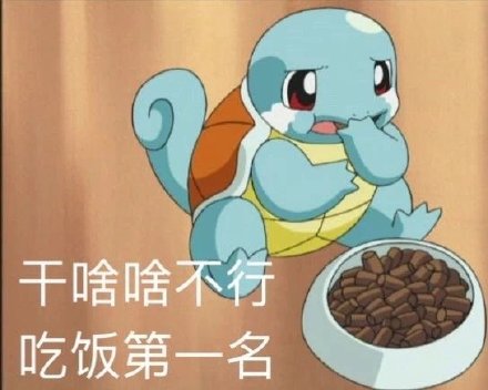 超萌憨憨杰尼龟表情包合集