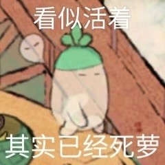 桃源萝萝表情包合集来啦