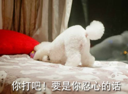 斗图神器！这句“你打吧！要是你忍心的话”表情包火了