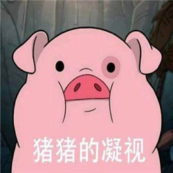 刷到这套猪猪表情包，谁看了不说一句可爱