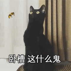 超火长颈黑猫动图表情包合集