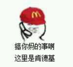 聊天斗图必备！搞事系列表情包合集