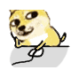 魔性doge小黄狗动图表情包合集来啦