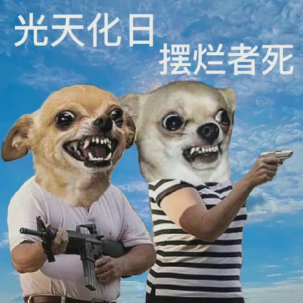 摸鱼必备！摆烂小狗表情包合集