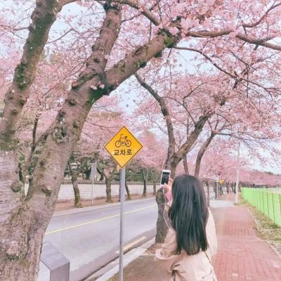 微信头像女生唯美背影 24张高清好看的精选合集来了