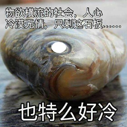 火出圈的“诡异的光”表情包合集来了