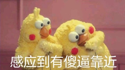 鹦鹉兄弟表情包火了！网友：这明明就是脆皮鸡嘛