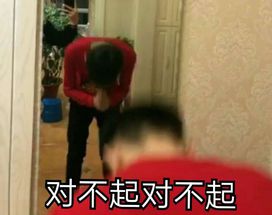 这套社会摇表情包，要不要跟妹妹一起用？